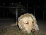 IMG_1041.jpg