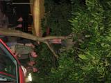 IMG_1051.jpg
