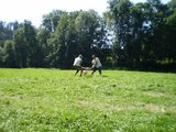 P8010015_resize.JPG