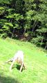 Picture_061.jpg