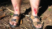 Picture_153.jpg