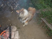DSCN1284.JPG