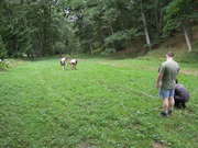 DSCN1463.JPG