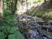 DSCN1479.JPG