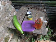 DSCN1551.JPG