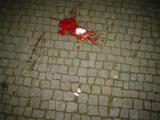 DSC00830.JPG