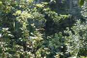 _MG_5699.JPG