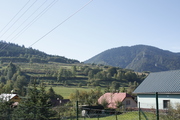 _MG_5725.JPG