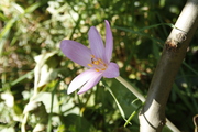_MG_5731.JPG