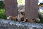 _MG_5743.JPG