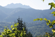 _MG_5748.JPG