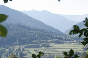 _MG_5752.JPG