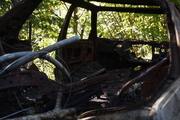 _MG_5772.JPG