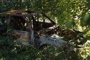 _MG_5773.JPG