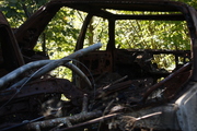 _MG_5774.JPG