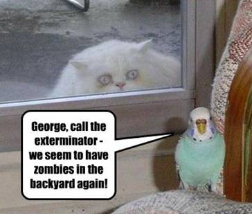 zombie-cat.jpg