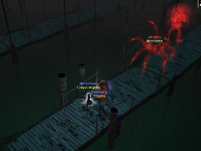 stoky-bug-charxass.jpg