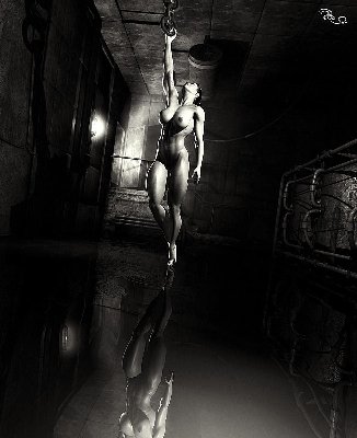 3177-zena.jpg