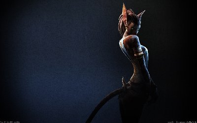 women-video-games-tail-artwork-ferres-archeage-online.jpg