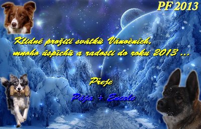 PF 2013.jpg